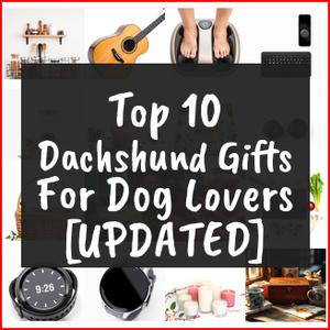 dachshund gifts for dog lovers